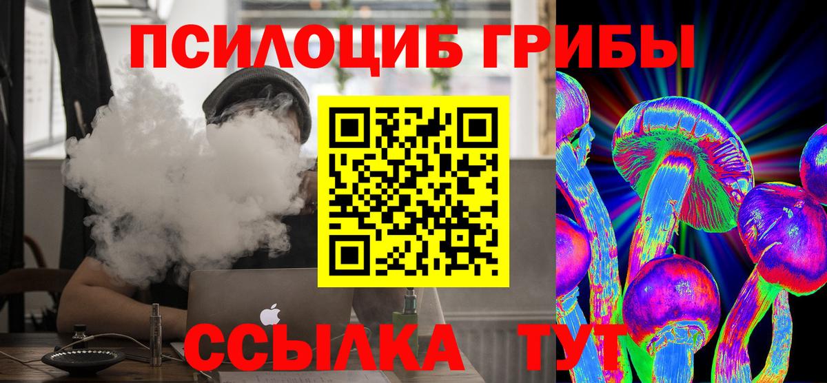 Галлюциногенные грибы мицелий  магазин  наркотиков  Галлюциногенные грибы Psilocybine cubensis  Тула  Вход с VPN 